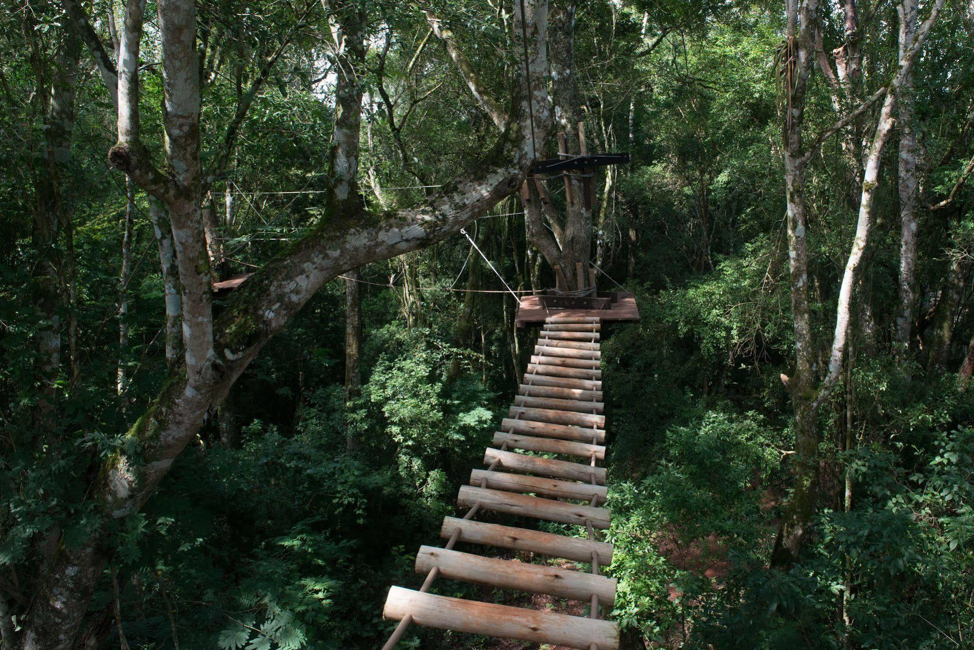Wish 5* Foz do Iguacu